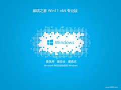 <font color='#339900'>系统之家win11最新64位多驱动普通版v2025.05</font>