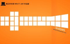 <font color='#339900'>笔记本win11免激活64位老机最新版v2025.05</font>
